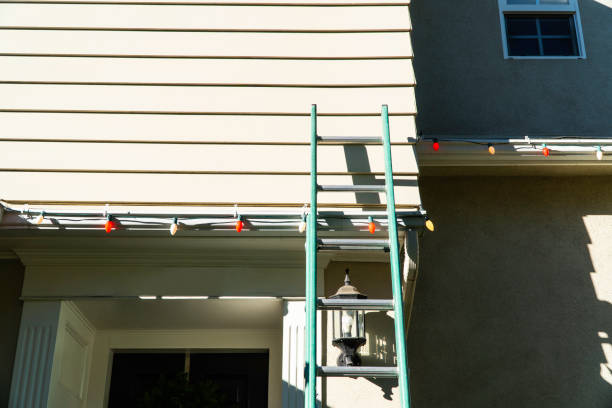 Best Storm Damage Siding Repair  in Orosi, CA